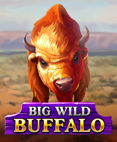 Mängige Big Wild Buffalot Mr Bit kasiinos
